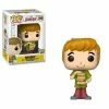 Hobbiestock Collectibles Pop Animation: Scooby Doo - Shaggy W/ Sandwich Funko Pop